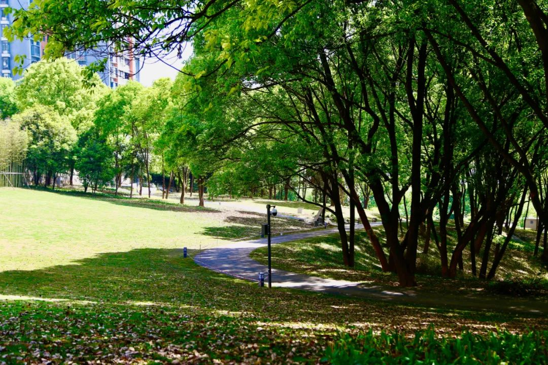 圖片3.png 圖片3.png