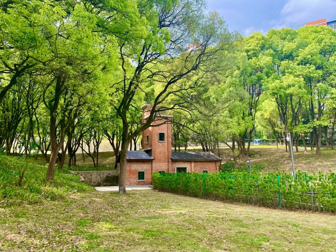 圖片1.png 圖片1.png